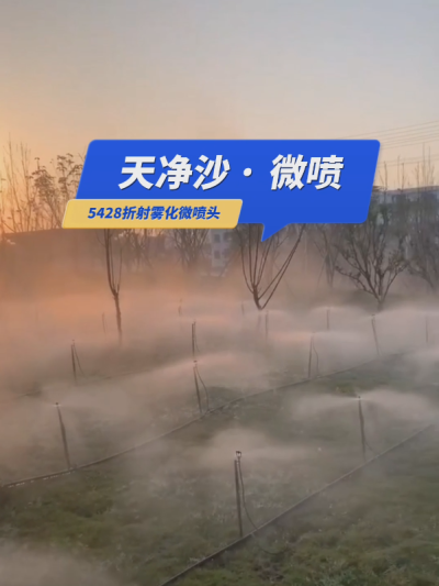【天净沙&middot;微喷】枯藤老树昏鸦，草地仙境人家，地插微喷雾化，夕阳西下，灌溉，你问，我答！#5428折射雾化微喷头 #微喷 #华维集团