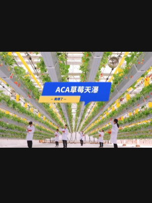 自由升降、追光生长。#ACA草莓天瀑，美爆了！向天再借500平！#ACA可控农业 #华维集团 #数字农业