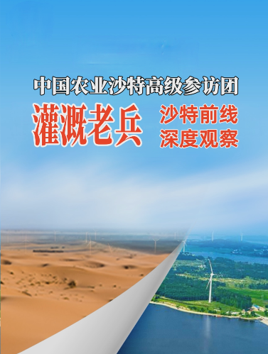 #华维沙特行 灌溉之于沙漠之城利雅得的现实意义 #灌溉不止于灌溉 #华维集团