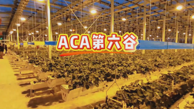 #ACA第六谷 模式，打造#ACA作物工厂，规划建园到栽培种植水肥管理一站式服务！#可控农业 #华维集团