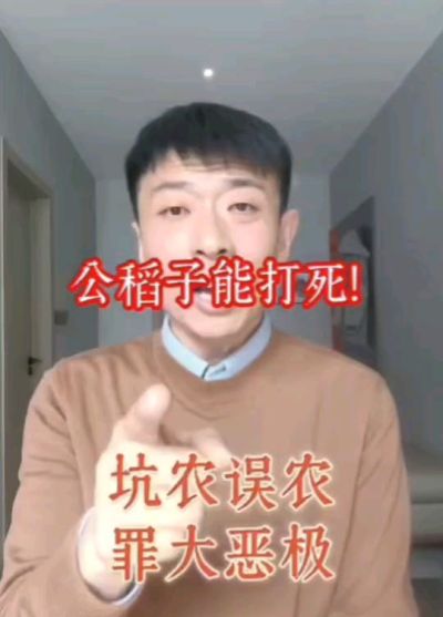 公稻子可以打死？纯属误农！