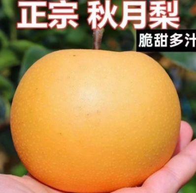 http://st-static1.yuexiangleyuan.com/forums/2025/07/29/17537865122719.png
