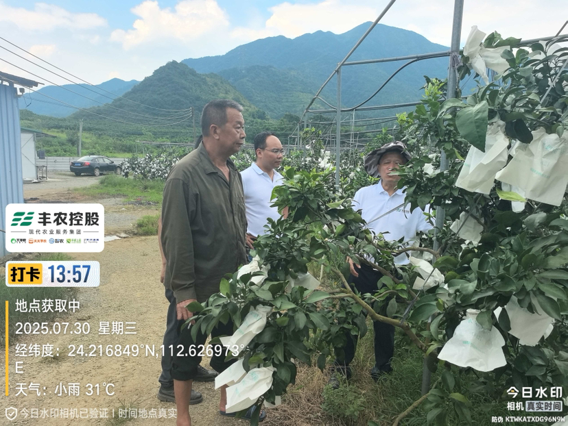 http://st-static1.yuexiangleyuan.com/forums/2025/07/31/17539588605789.png