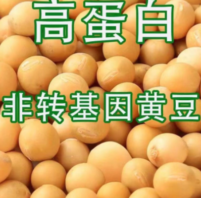 http://st-static1.yuexiangleyuan.com/forums/2025/08/06/17544750598565.png