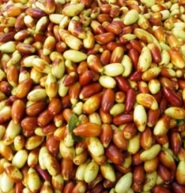 http://st-static1.yuexiangleyuan.com/forums/2025/08/13/17550808708744.png