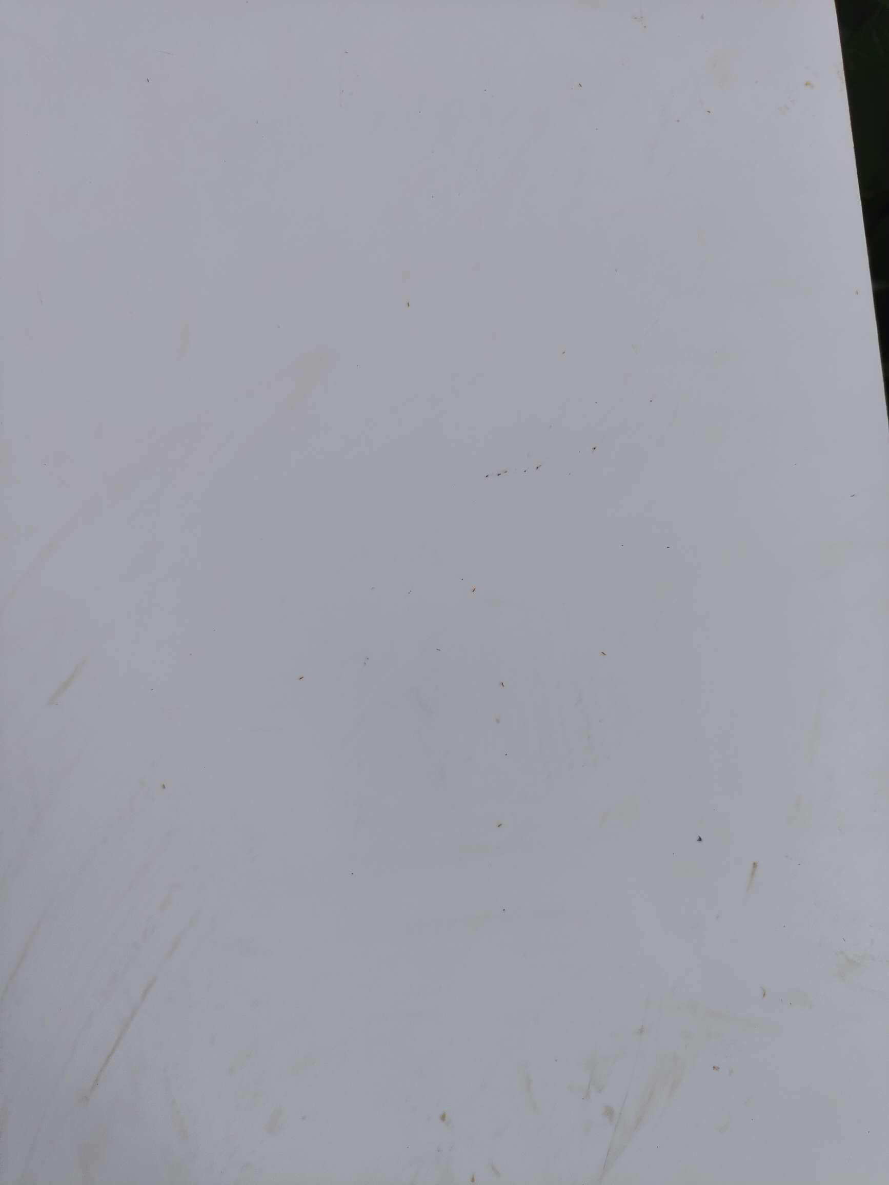 http://st-static1.yuexiangleyuan.com/forums/2025/08/18/17555288245629.jpeg