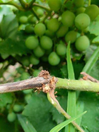 http://st-static1.yuexiangleyuan.com/forums/2025/09/07/17572580533597.png