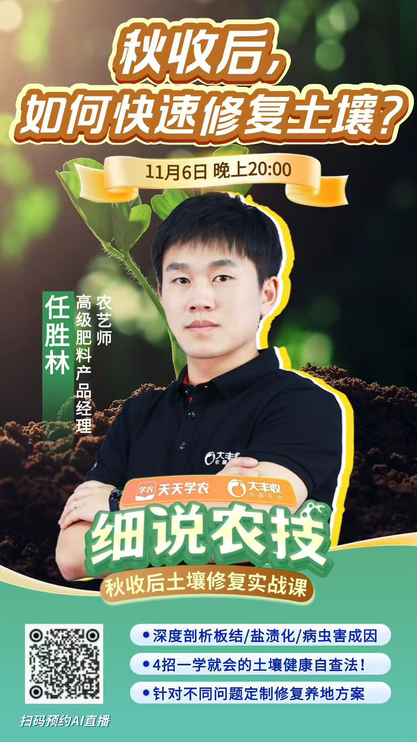 http://st-static1.yuexiangleyuan.com/forums/2025/11/05/17623094603355.png