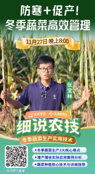 http://st-static1.yuexiangleyuan.com/forums/2025/11/25/17640398113563.png
