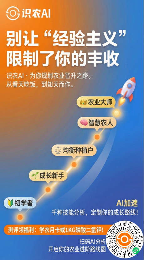 http://st-static1.yuexiangleyuan.com/forums/2025/11/27/17642315792371.png
