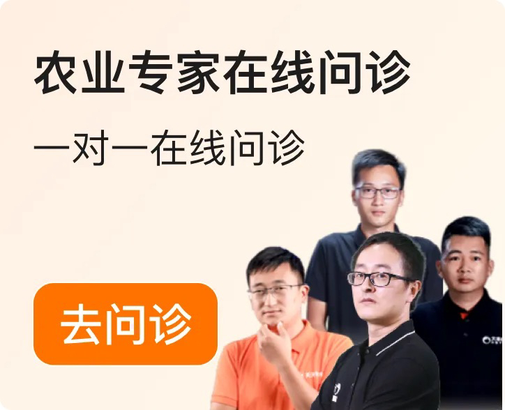 http://st-static1.yuexiangleyuan.com/forums/2025/12/04/17648348949299.png