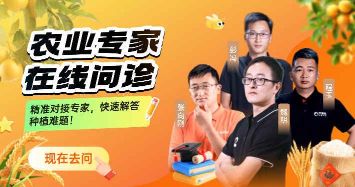 http://st-static1.yuexiangleyuan.com/forums/2025/12/04/17648350671478.png