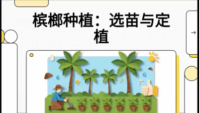 第01节：选苗与定植&mdash;&mdash;&ldquo;苗好一半收，底肥定千秋&rdquo;课程：《槟榔种植：从不懂到精通的10堂必修课》