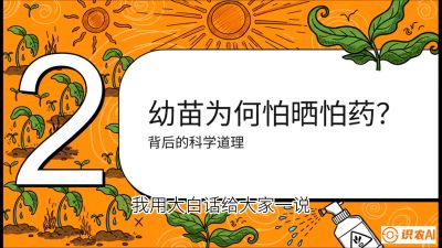 第02节：幼树管理&mdash;&mdash;&ldquo;防晒又防草，树势起得早&rdquo;，课程：《槟榔种植：从不懂到精通的10堂必修课》