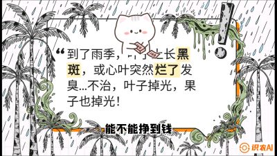 第05节：常见真菌病害&mdash;&mdash;&ldquo;炭疽与烂心，早防值千金&rdquo;《槟榔种植：从不懂到精通的10堂必修课》