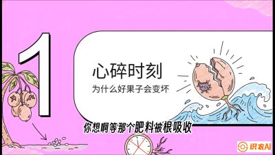 第08节：微量元素与保果&mdash;&mdash;&ldquo;补硼又补钙，果子不裂坏&rdquo;《槟榔种植：从不懂到精通的10堂必修课》
