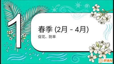 第10节：周年农事日历&mdash;&mdash;&ldquo;跟着节气走，丰产在手头&rdquo;《槟榔种植：从不懂到精通的10堂必修课》