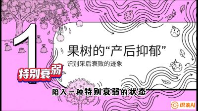 第2节：【冬肥策略】采后&ldquo;月子肥&rdquo;：大小年的精准干预术，课程：《柑橘底肥&ldquo;翻身账&rdquo;：从改土到高产的实战全书》