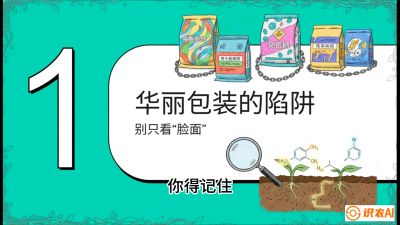 第4节：【黄金配方】底肥里的&ldquo;铁三角&rdquo;与&ldquo;微量雷区&rdquo;课程：《柑橘底肥&ldquo;翻身账&rdquo;：从改土到高产的实战全书》