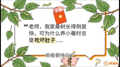 第01节：不仅仅是树&mdash;&mdash;顶级品种选配策略，课程：《桑海淘金：桑树高产与蚕桑安全进阶实战课》