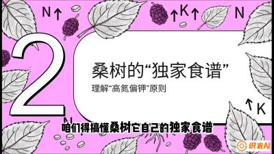 第04节：地下核动力&mdash;&mdash;桑树专用水肥一体化配方，课程：《桑海淘金：桑树高产与蚕桑安全进阶实战课》