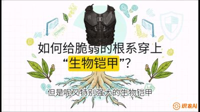第三节：国产榴莲突围战：根系堡垒，菌根微生态构建与黄金定植窗口，课程：《国产榴莲突围战：从泰国经验到中国实操的8堂必修课（高阶实战版）》
