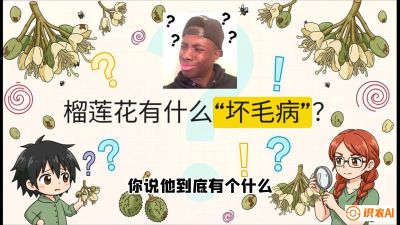 第六节：榴莲的午夜战事，夜间授粉战与花果期避雨策略，课程：《国产榴莲突围战：从泰国经验到中国实操的8堂必修课（高阶实战版）》