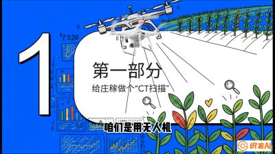 第5节：无人机也能&ldquo;看病抓药&rdquo;&mdash;&mdash;处方图与变量施肥入门，课程：《无人机植保搞钱必修课：从&ldquo;瞎飞&rdquo;到&ldquo;懂行&rdquo;的6步进阶》