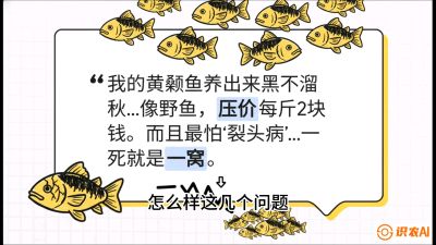 第四节：【黄金单品&middot;黄颡鱼】解决&ldquo;一点红&rdquo;与&ldquo;香蕉色&rdquo;的悖论，课程：《黄金鳞甲：2025中国淡水鱼高效养殖实战营》