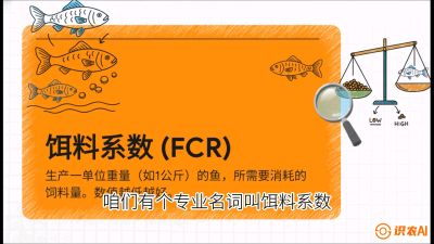 第五节：【高端单品&middot;鳜鱼】&ldquo;饲料鳜&rdquo;技术：打破吃活饵的高成本魔咒，课程：《黄金鳞甲：2025中国淡水鱼高效养殖实战营》