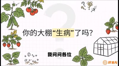 第2节（解毒篇）： 大棚里的&ldquo;红白绿&rdquo;警报&mdash;&mdash;读懂土壤盐渍化的求救信号，课程：《揭秘土壤的秘密：让土地帮你赚钱》#识农AI