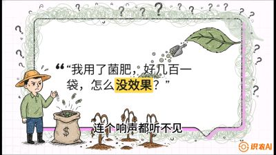 第4节（活化篇）： 土壤里的&ldquo;雇佣兵&rdquo;&mdash;&mdash;如何用菌剂以小博大，解决死棵难题，课程：《揭秘土壤的秘密：让土地帮你赚钱》#识农AI