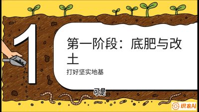 第6节（统筹篇）： 省钱又增产的&ldquo;黄金配比&rdquo;&mdash;&mdash;不同作物全年的养土实操方案，课程：《揭秘土壤的秘密：让土地帮你赚钱》#识农AI