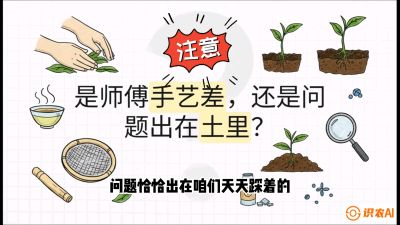 第02节（土肥篇）：告别&ldquo;苦涩水味&rdquo;：揭秘&ldquo;碳氮比&rdquo;调控术，种出自带兰花香的好茶底，课程：《茶金时代：从&ldquo;看天吃饭&rdquo;到&ldquo;精准控局&rdquo;的茶叶高产提质实战课》