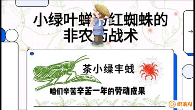 第03节（虫害篇）：看不见的吸血鬼：小绿叶蝉与红蜘蛛的&ldquo;非农药&rdquo;团灭战术（抗性治理），课程：《茶金时代：从&ldquo;看天吃饭&rdquo;到&ldquo;精准控局&rdquo;的茶叶高产提质实战课》