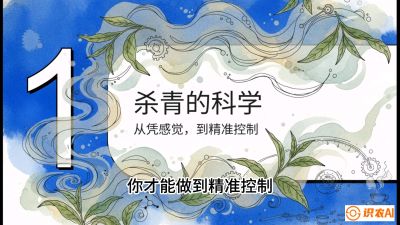第05节（加工篇）：决胜2分钟：用&ldquo;数字温控&rdquo;破解杀青不匀，复刻大师级手工口感，课程：《茶金时代：从&ldquo;看天吃饭&rdquo;到&ldquo;精准控局&rdquo;的茶叶高产提质实战课》