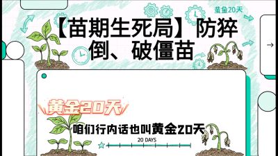 第2节：【苗期生死局】防猝倒、破僵苗，决定后期产量的&ldquo;黄金20天&rdquo;，课程：《辣椒种植实战特训营，从工业辣椒到精品小米辣，教你如何把&ldquo;草&rdquo;种成&ldquo;金&rdquo;》