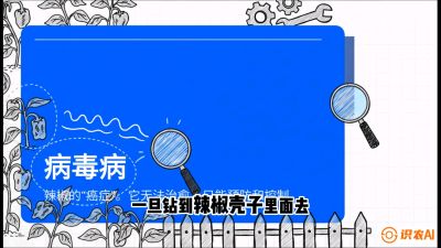第5节：【病毒病阻击】辣椒的&ldquo;癌症&rdquo;怎么治？从&ldquo;绝收恐慌&rdquo;到&ldquo;带毒生产&rdquo;的逆转术，课程：《辣椒种植实战特训营，从工业辣椒到精品小米辣，教你如何把&ldquo;草&rdquo;种成&ldquo;金&rdquo;》