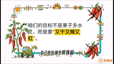 第7节：【工业辣椒专场】追求极致辣度！干物质提升与机械化采收的&ldquo;催红秘籍&rdquo;，课程：《辣椒种植实战特训营，从工业辣椒到精品小米辣，教你如何把&ldquo;草&rdquo;种成&ldquo;金&rdquo;》