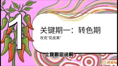 第8节：【小米辣线椒专场】颜值即正义！防花皮、防炭疽，打造收购商抢着要的&ldquo;精品果&rdquo;，课程：《辣椒种植实战特训营，从工业辣椒到精品小米辣，教你如何把&ldquo;草&rdquo;种成&ldquo;金&rdquo;》