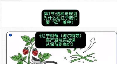 第一节： 选种与规划&mdash;&mdash;为什么在辽宁我们要&ldquo;砍&rdquo;着种？，课程：《辽宁树莓（海尔特兹）高产避坑实战课：从保苗到高价》