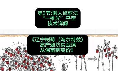 第三节： 懒人修剪法&mdash;&mdash;&ldquo;一推光&rdquo;平茬技术详解，课程：《辽宁树莓（海尔特兹）高产避坑实战课：从保苗到高价》