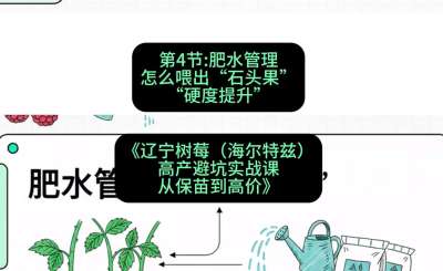 第四节： 肥水管理&mdash;&mdash;怎么喂出&ldquo;石头果&rdquo;（硬度提升），课程：《辽宁树莓（海尔特兹）高产避坑实战课：从保苗到高价》