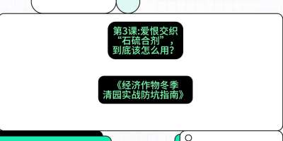 第3节：【核武药剂】爱恨交织的&ldquo;石硫合剂&rdquo;，到底该怎么用？，课程：《经济作物冬季清园&middot;实战防坑指南》#识农AI