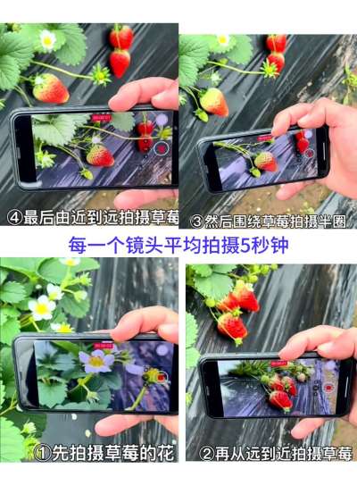 http://st-static1.yuexiangleyuan.com/forums/2026/01/24/17692156443983.jpeg