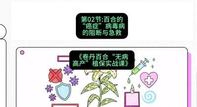 第02节：百合的&ldquo;癌症&rdquo;&mdash;&mdash;病毒病的阻断与急救，课程：《卷丹百合&ldquo;无病高产&rdquo;植保实战课》#识农AI