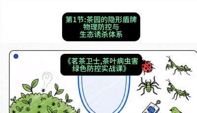 第01节：茶园的&ldquo;隐形盾牌&rdquo;&mdash;&mdash;物理防控与生态诱杀体系，课程：《茗茶卫士&mdash;&mdash;茶叶病虫害绿色防控实战课》#识农AI