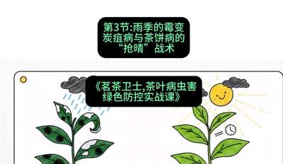 第03节：雨季的霉变&mdash;&mdash;炭疽病与茶饼病的&ldquo;抢晴&rdquo;战术，课程：《茗茶卫士&mdash;&mdash;茶叶病虫害绿色防控实战课》#识农AI