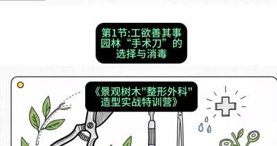 第01节：工欲善其事&mdash;&mdash;园林&ldquo;手术刀&rdquo;的选择与消毒，课程：《景观树木&ldquo;整形外科&rdquo;造型实战特训营》#识农AI