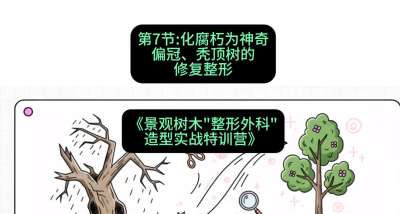 第07节：化腐朽为神奇&mdash;&mdash;偏冠、秃顶树的修复整形，课程：《景观树木&ldquo;整形外科&rdquo;造型实战特训营》#识农AI